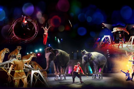 Итальянский цирк Togni артисты