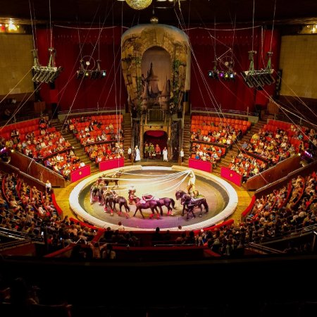 Брянский цирк Арена