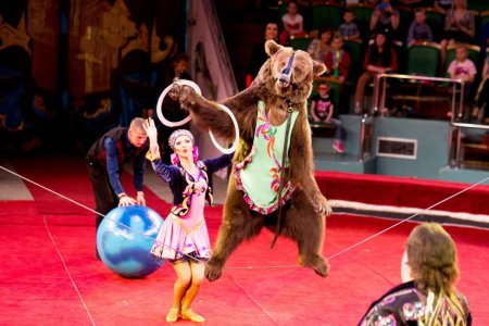 Церковное представления