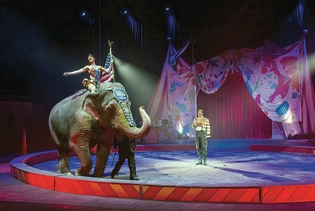 Цирк шапито каракат шоу