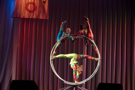 Цирковая студия гротеск Калуга