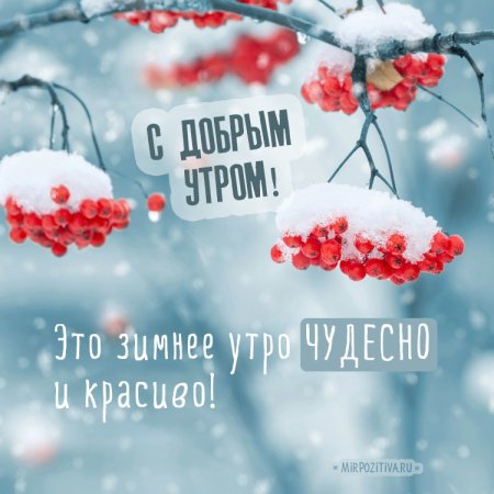 Доброе Снежное утро