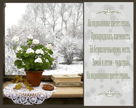 Доброе Снежное утро за окном
