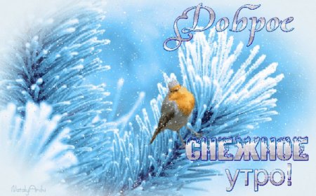 С добрым снежным утром