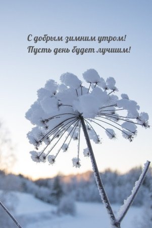 С добрым зимним утром