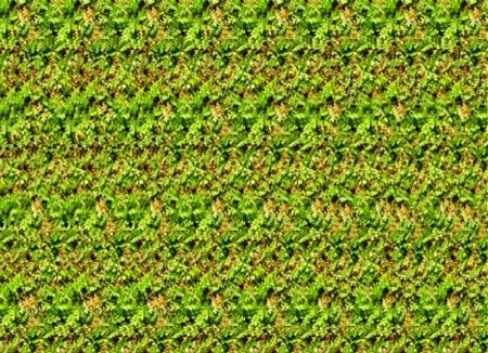 Стереограммы Хидден 3д