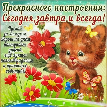 Поздравления с добрым днем и с хорошим настроением