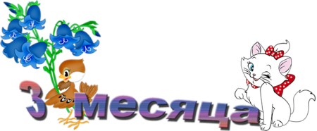 3 Месяца поздравления