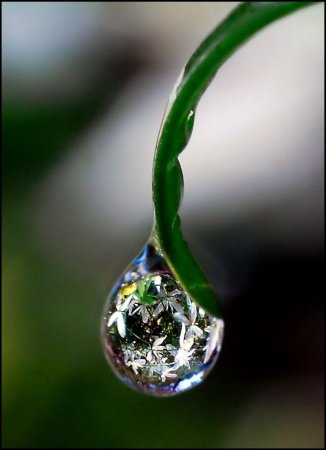 Капля воды