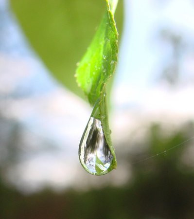 Капля воды