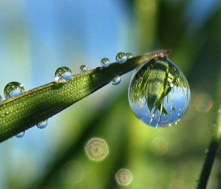 Капля воды