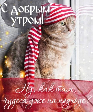 С первымднем зимв доьоое кто