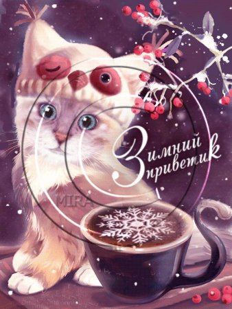 Доброе зимнее утро кот