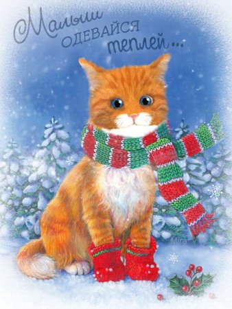 Зимний котик в шарфе