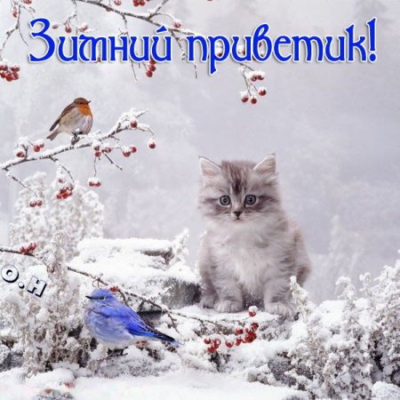 Доброго снежного дня