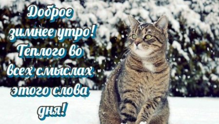 Доброе утро зимнее прикольное