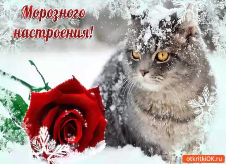 Хорошего зимнего настроения
