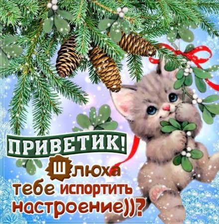 Зимний привет