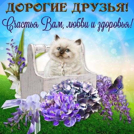 Открытка "другу!"