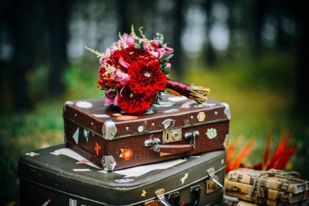 Чемодан счастья