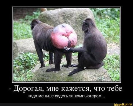 Обидные демотиваторы
