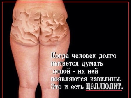 Шутки про целлюлит
