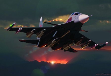 Су-30см арт