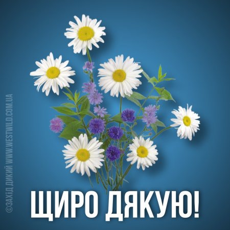 Дякую за привітання