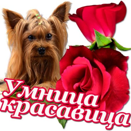 Ты красотка