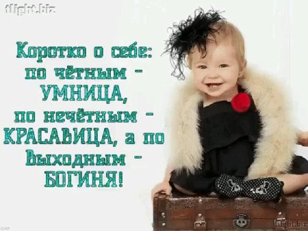 Коротко о себе с юмором