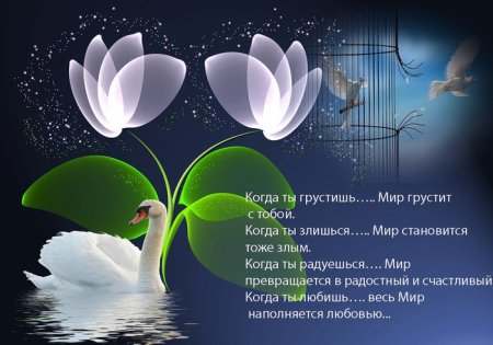 Красивые открытки с мудрыми мыслями