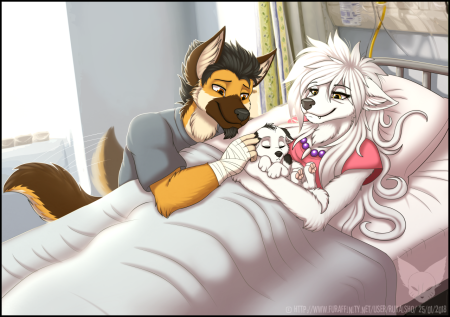 Семейка фуррей Волков арт