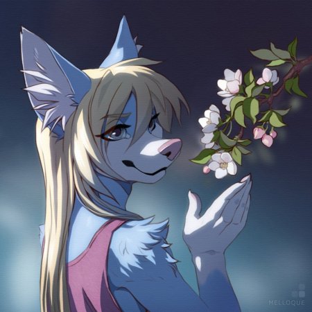 Волчица фурри аниме