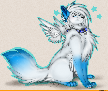 Фурри с крыльями