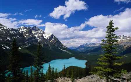 537x240 природа