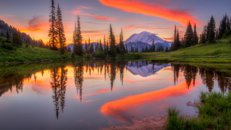 Красота природы