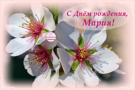 Мария с днём рождения поздравления