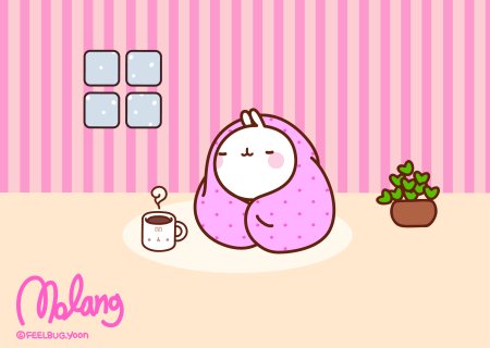 Японский кролик Моланг