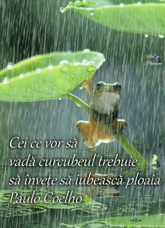 Доброе дождливое утро