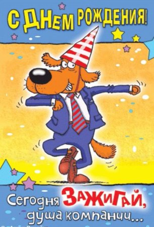 Прикольные поздравления с днем рождения