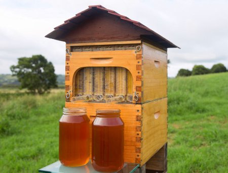 Flow Hive Honey ульи