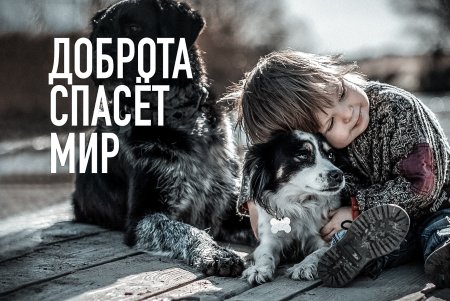 Добро спасет мир