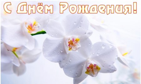Открытки с днем рождения орхидеи