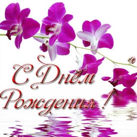 С днём рождения орхидеи