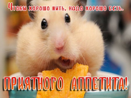 Приятного аппетита