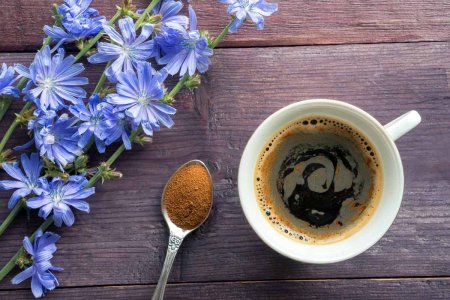 РИОСАН цикорий