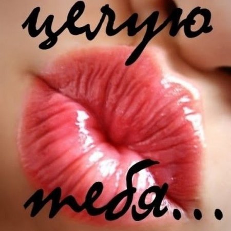 Открытка целую