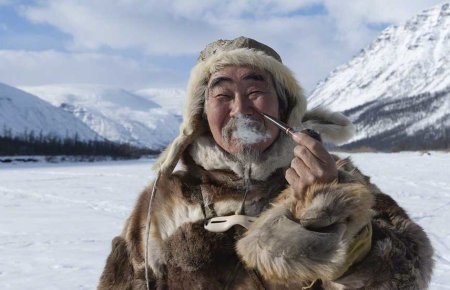 Жители Арктики