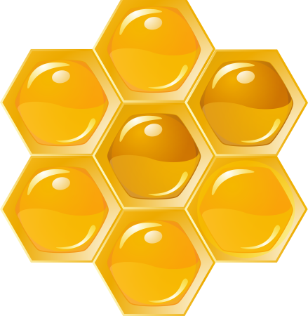 Соты пчелиные вектор