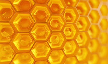 Соты Honeycomb Cell